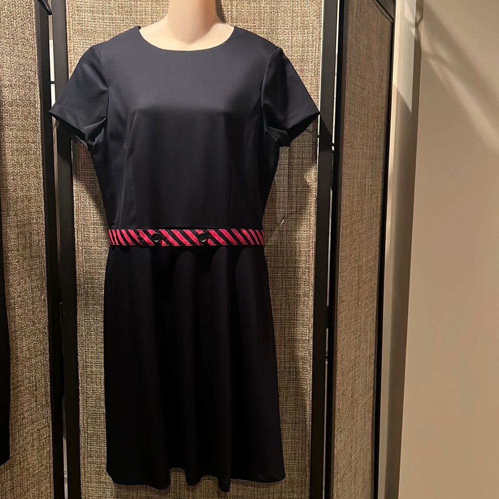 Brooks Brothers Navy A-Line Dress with Pink-Striped Belt